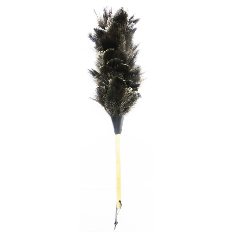 گردگیر  آلین مدل Ostrich Feather 1