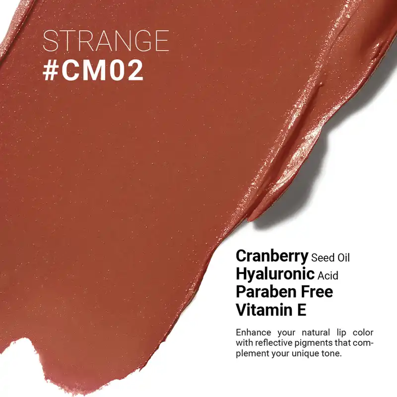 رژ لب مدادی اشتون مدل مات مخملی شماره CM02