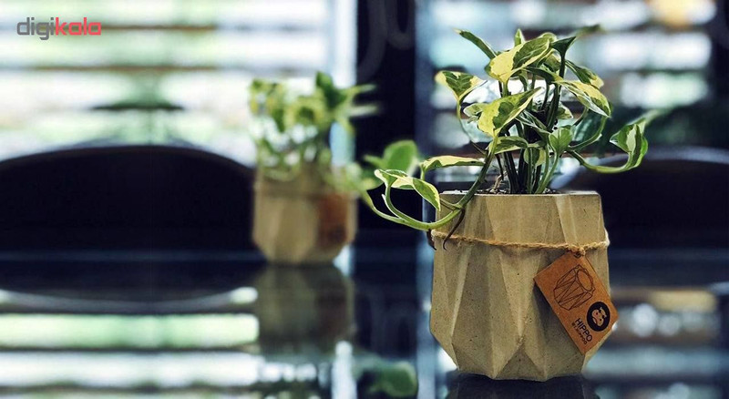 گلدان هیپو کد 0125