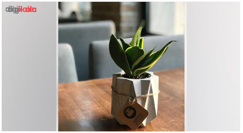 گلدان هیپو کد 0125