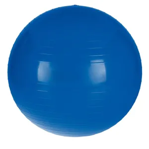 Gym Ball Size 65 Cm