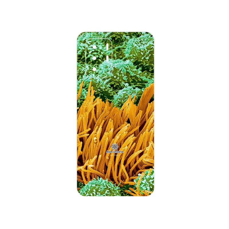 برچسب پوششی ماهوت مدل Atom Universe 6 مناسب برای گوشی موبایل شیائومی Redmi Note 10 Pro (China)