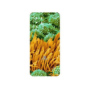 MAHOOT Atom Universe 6 Cover Sticker for Xiaomi Redmi Note 10 Pro China