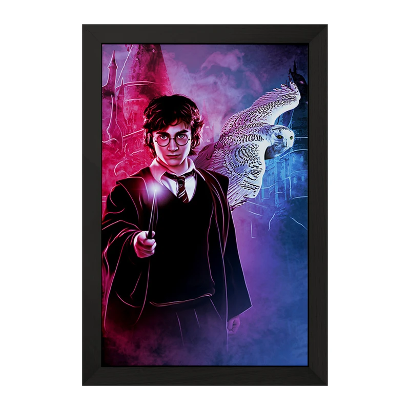 تابلو خندالو مدل هری پاتر (Harry Potter) کد F850