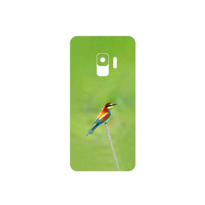 برچسب پوششی ماهوت مدل European bee-eater مناسب برای گوشی موبایل سامسونگ Galaxy S9