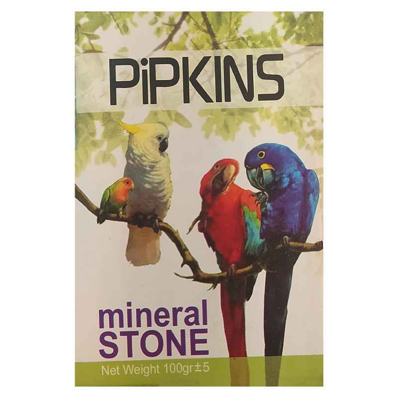 سنگ کلسیم پرنده مدل PIPKINS