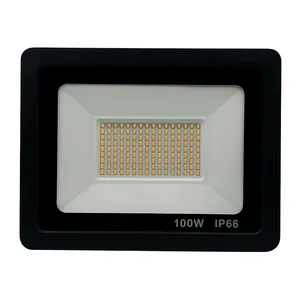 پروژکتور اس ام دی 100 وات آریانا مدل IP66