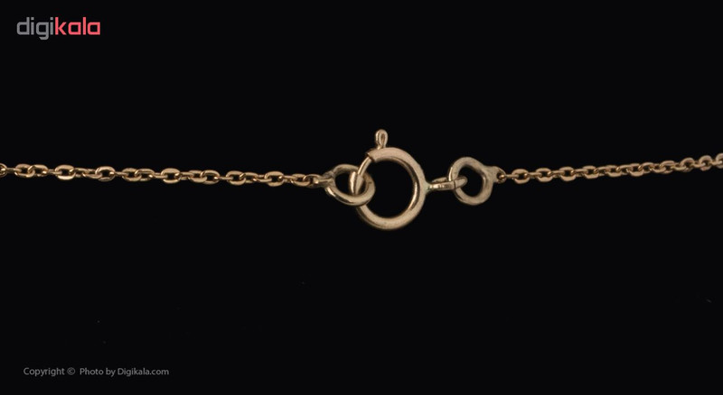 آویز گردنبند 18 عیار درنیکا مدل Dm1021