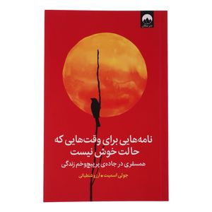 کتاب نامه هایی برای وقت هایی که حالت خوش نیست اثر جولی اسمیت ترجمه آرزو شنطیائی نشر میلکان