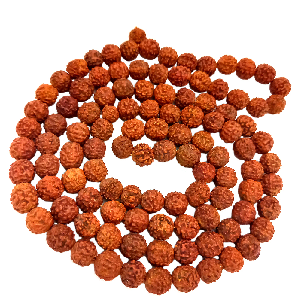 تسبیح مدل رودراکشا 