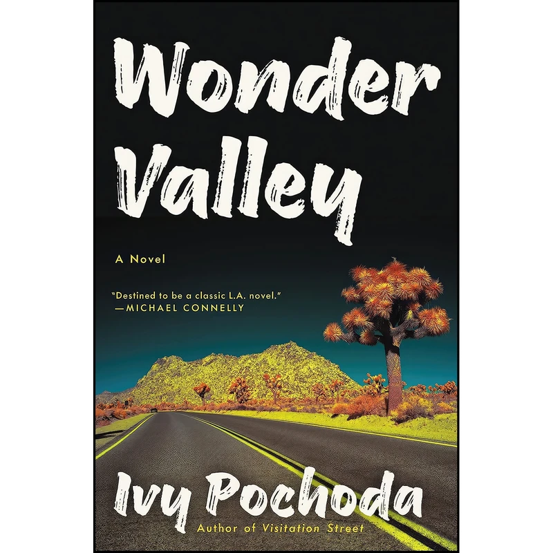 کتاب Wonder Valley اثر Ivy Pochoda انتشارات Ecco