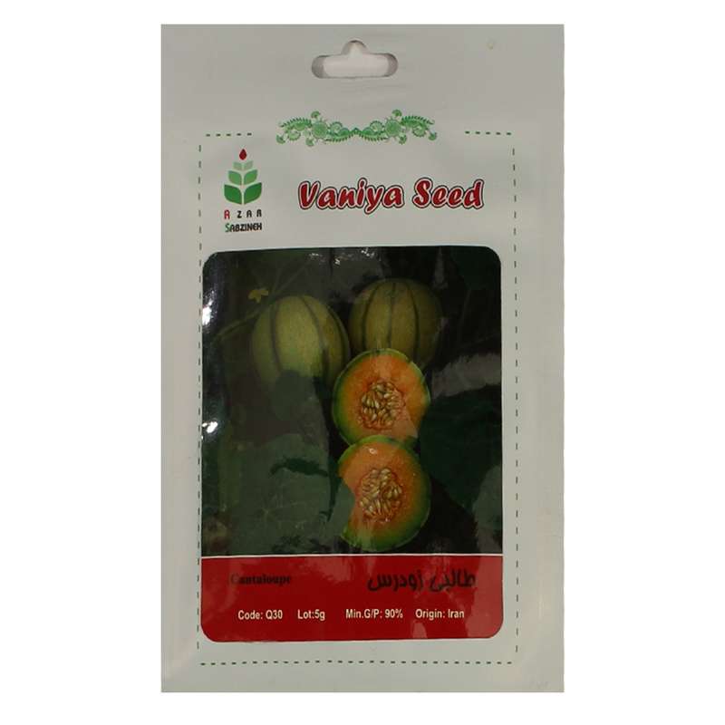 بذر طالبی زودرس آذر سبزینه مدل A85 بذر طالبی زودرس آذر سبزینه مدل A85