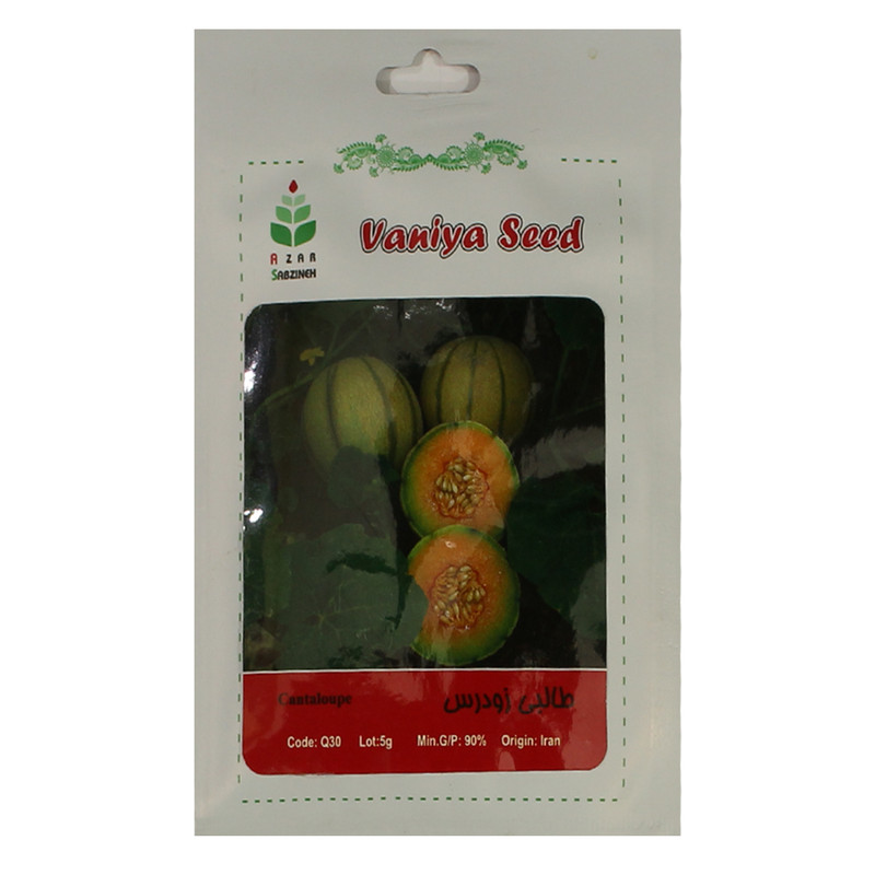 بذر طالبی زودرس آذر سبزینه مدل A85 بذر طالبی زودرس آذر سبزینه مدل A85