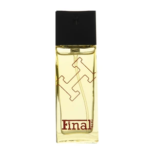عطر جیبی مردانه فینال مدل Terre De Hermes حجم 20 میلی لیتر