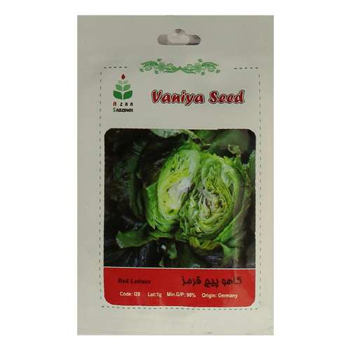 بذر کاهو پیچ قرمز آذر سبزینه مدل A120