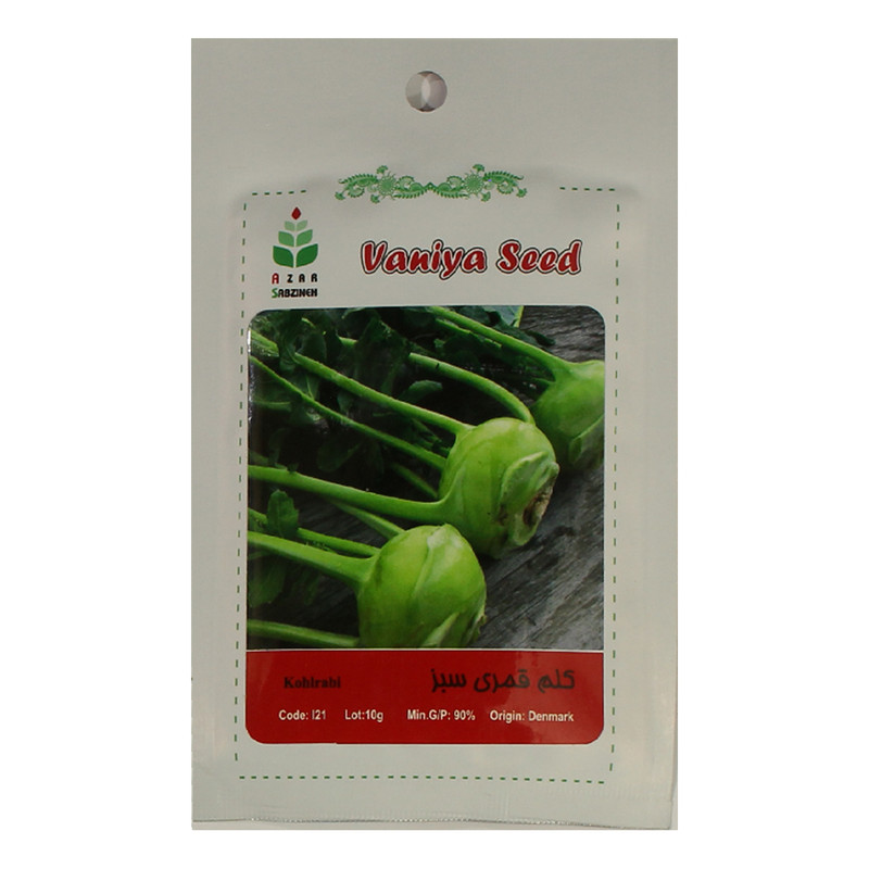 بذر کلم قمری سبز آذر سبزینه مدل A124 بذر کلم قمری سبز آذر سبزینه مدل A124