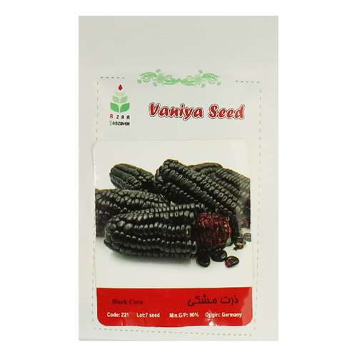 بذر ذرت مشکی آذر سبزینه مدل A129