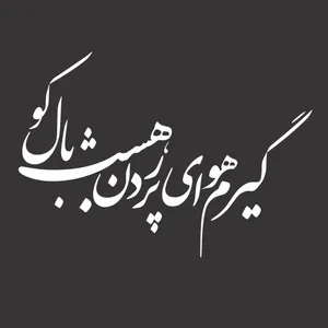 برچسب بدنه خودرو استیک طرح گیرم هوای کد GA01