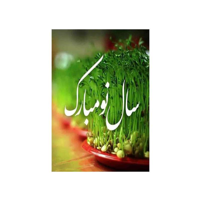 کارت پستال رادکس طرح تبریک سال نو  مدل s821
