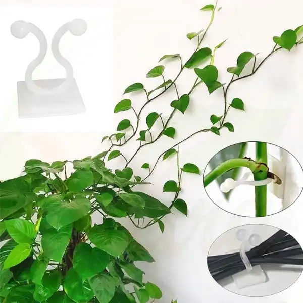 قیم بند مدل گیره پتوس بسته 10 عددی