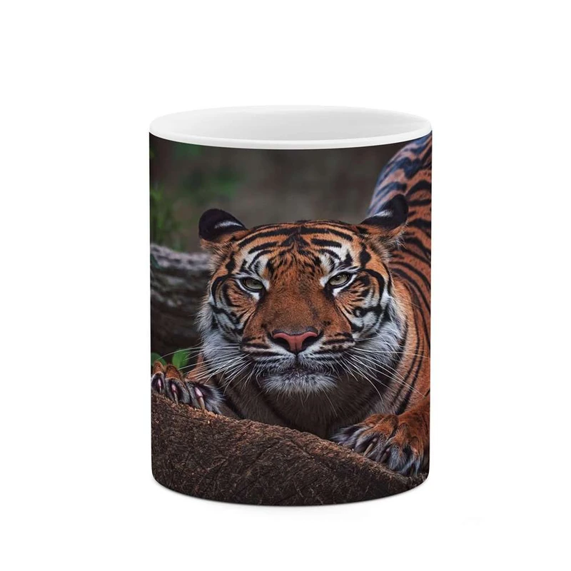 ماگ کاکتی مدل ببر کد mgh14146