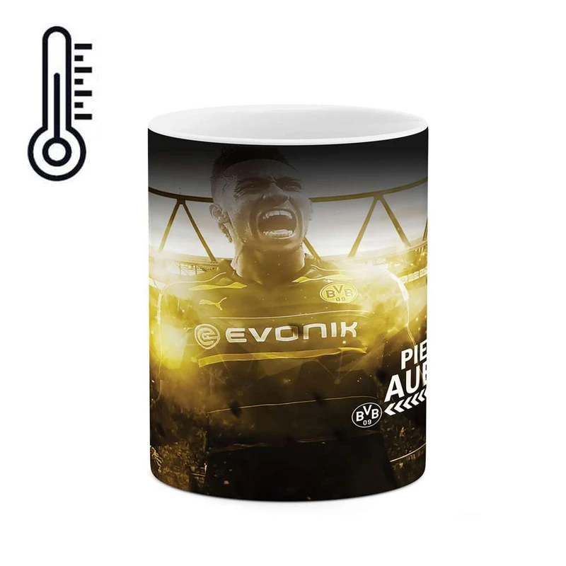 ماگ حرارتی کاکتی مدل آبامیانگ کد mgh10308