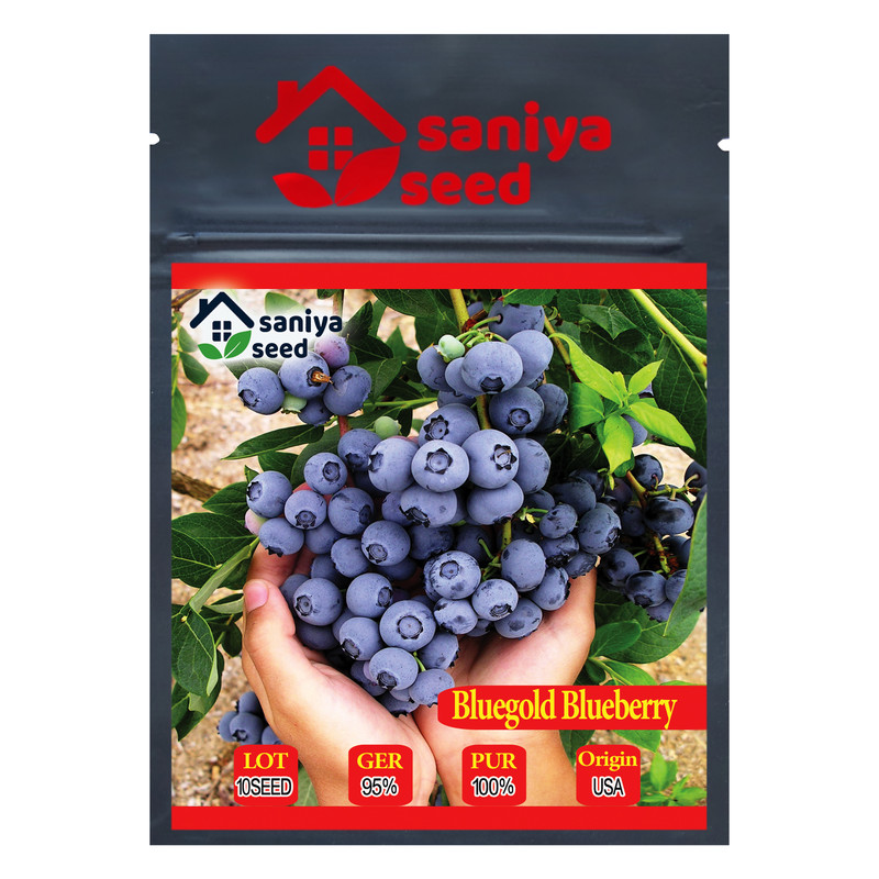 بذر بلوبری بلوگلد سانیا سید مدل B2