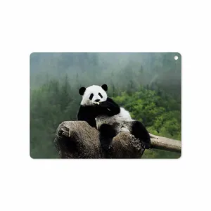 MAHOOT Panda Cover Sticker for Apple iPad Air 2 2014 A1567