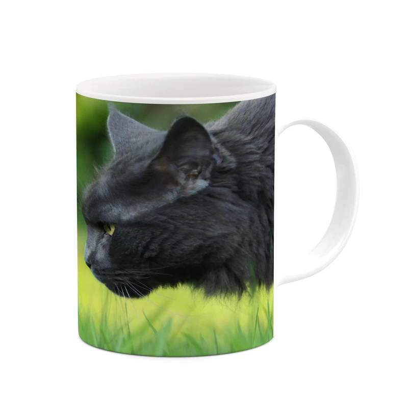 ماگ کاکتی مدل گربه کد mgh17220