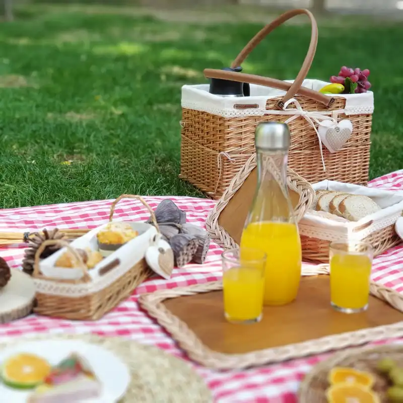 سبد پیک نیک اکوسبدکو مدل moas180w