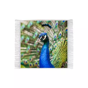 فرش ماشینی دیوارکوب مدل R1024 طرح پرنده طاووس