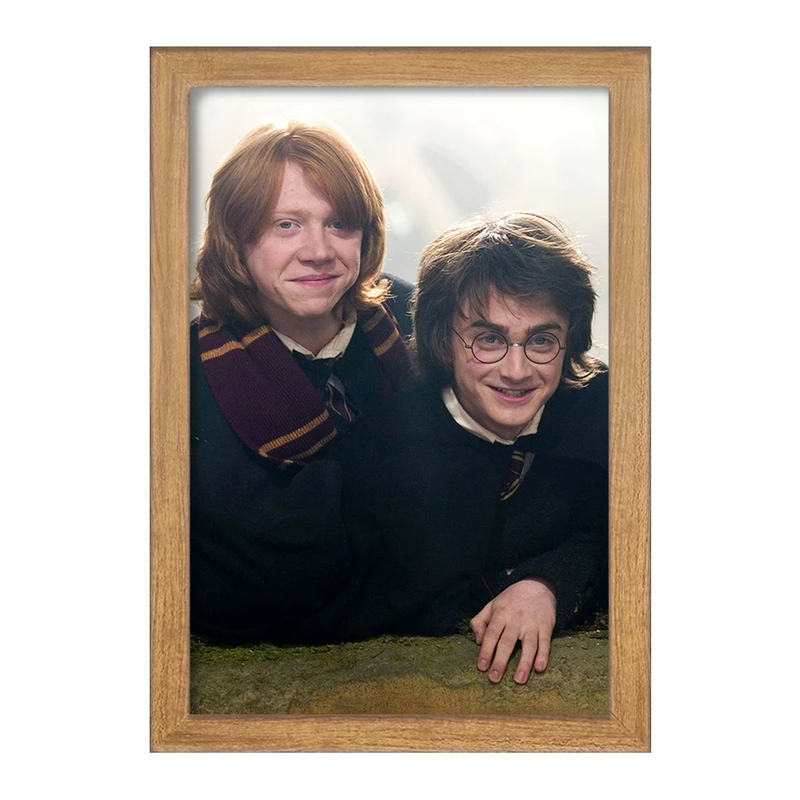تابلو خندالو مدل هری و رون هری پاتر Harry Potter  کد 19350
