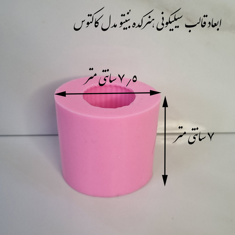 قالب شمع مدل کاکتوس کد C06 CM