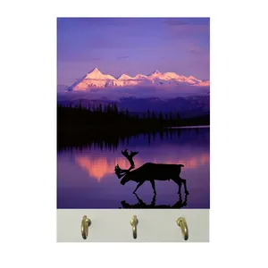 جاکلیدی طرح زمستان کد 272