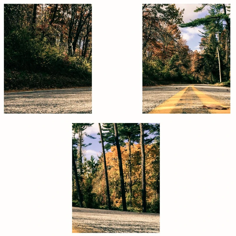 پوستر مدل جاده و جنگل مجموعه 3 عددی 