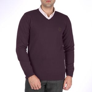 نقد و بررسی پلیور مردانه تریکو پاییزان کد P700 رنگ بنفش بادمجانی توسط خریداران