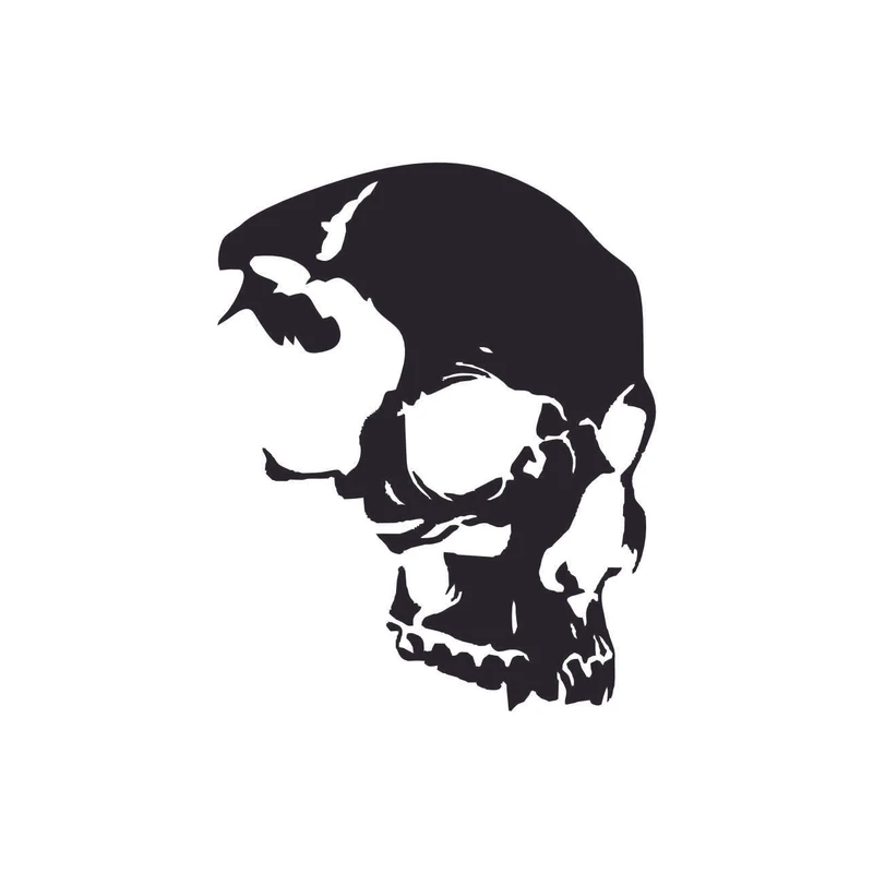 برچسب بدنه خودرو ونگارد طرح سر اسکلت ها کد M1