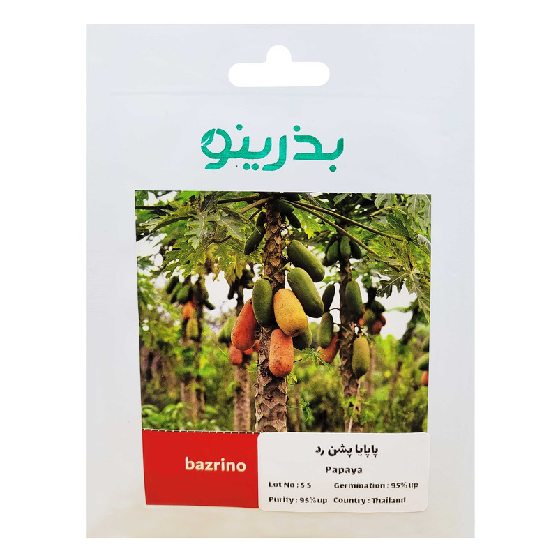 بذر میوه پاپایا پشن رد بذرینو کد BZNO-108 بذر میوه پاپایا پشن رد بذرینو کد BZNO-108