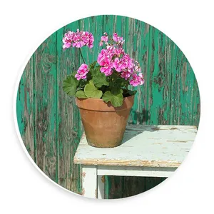 دیوارکوب طرح گل شمعدانی مدل wtb468