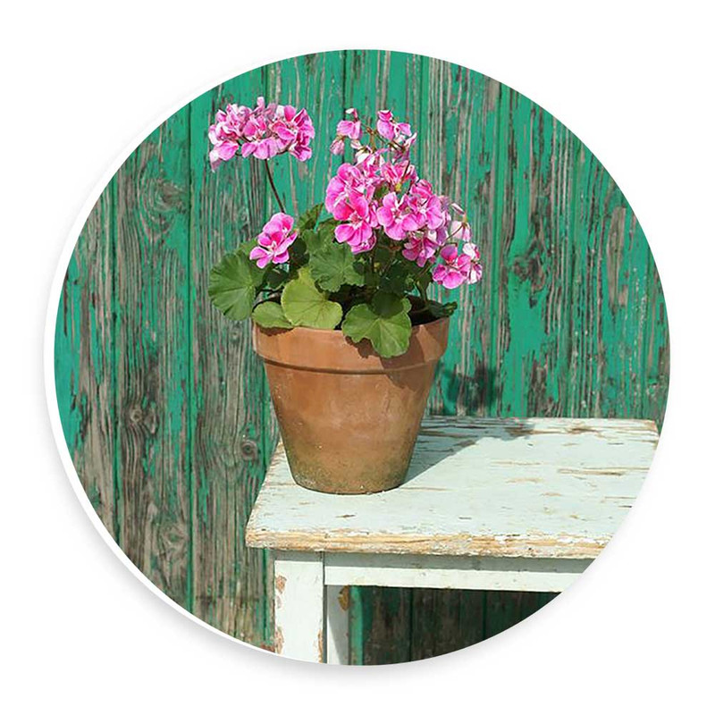 دیوارکوب طرح گل شمعدانی مدل wtb468
