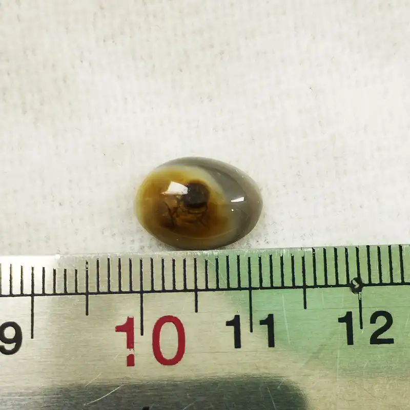 سنگ چشم باباقوری اصل سلین کالا کد 40