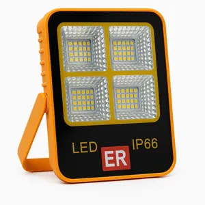 پرژکتور 50 وات ای آر مدل D01-NEW