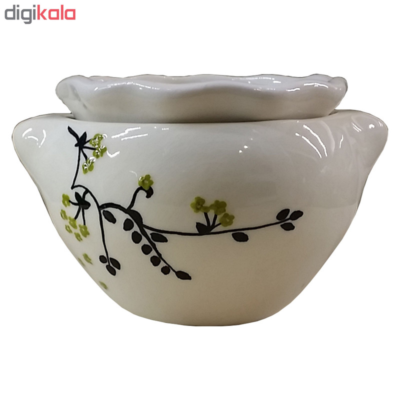 گلدان خودآبیار مخصوص بنفشه آفریقایی طرح گل شاخه ای