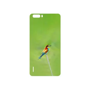 MAHOOT European bee-eater Cover Sticker for Honor 6 Plus