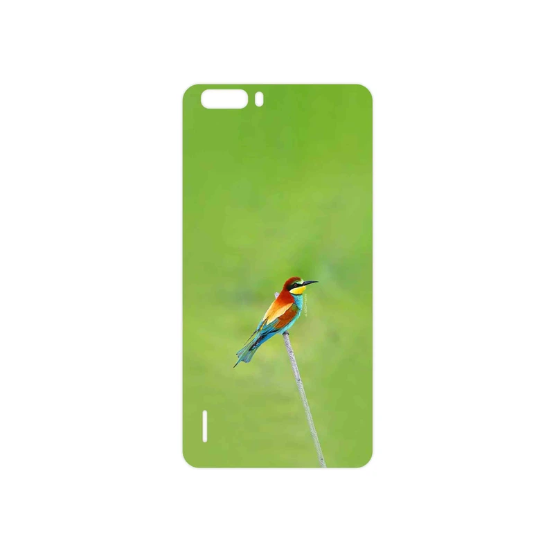برچسب پوششی ماهوت مدل European bee-eater مناسب برای گوشی موبایل آنر 6 Plus