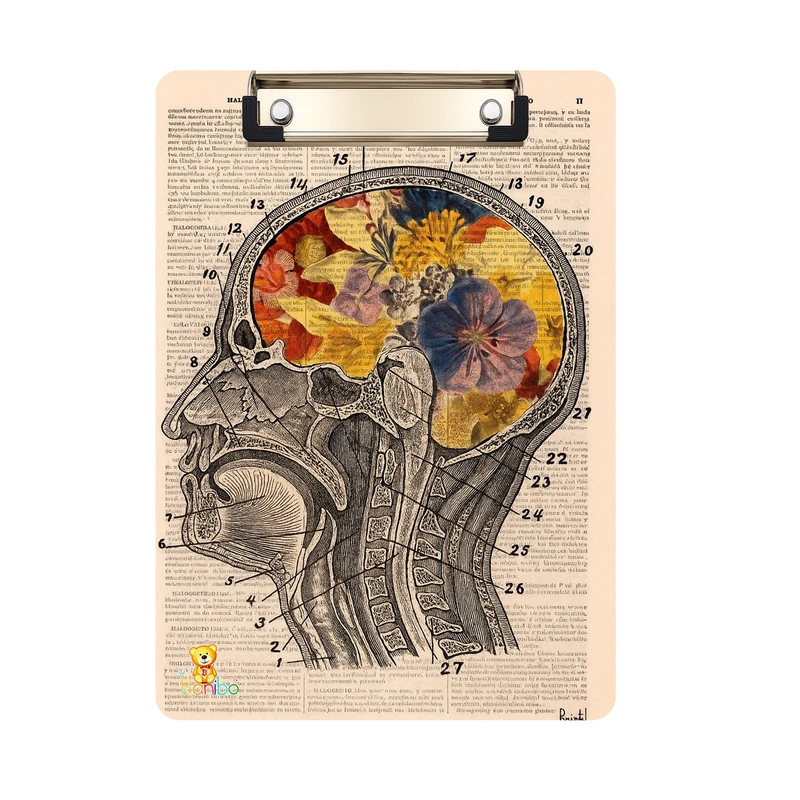 تخته شاسی بانیبو طرح مغز کد 2726  سایز a4