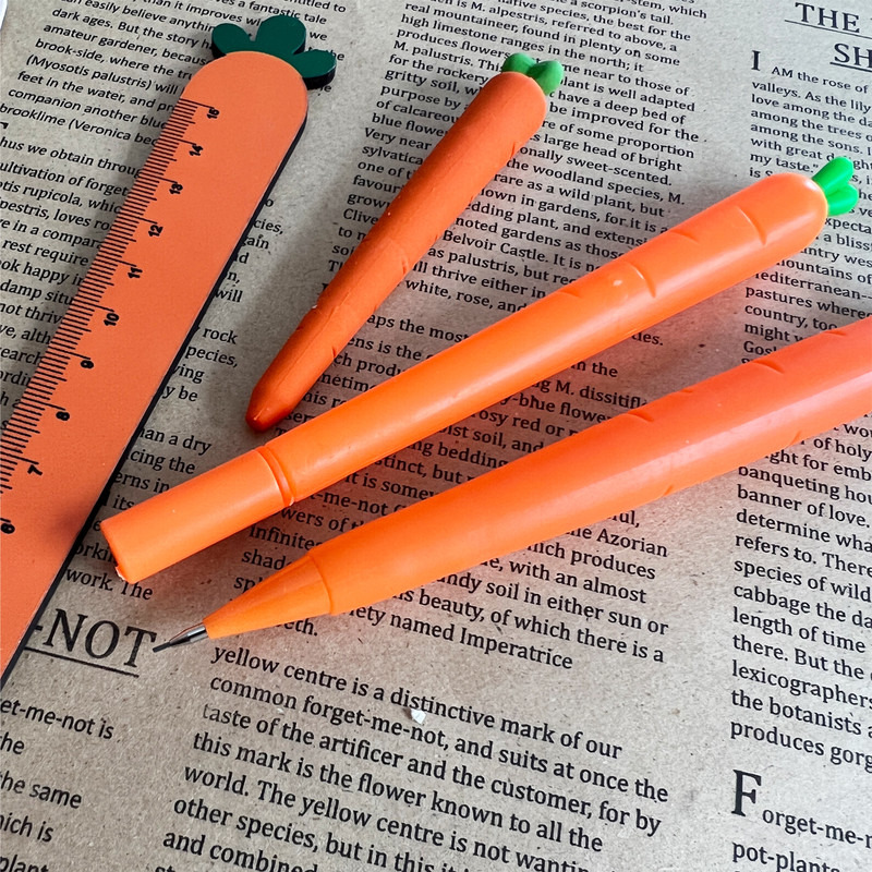 بسته لوازم التحریر مدل هویج کد jamed.5  مجموعه 5 عددی