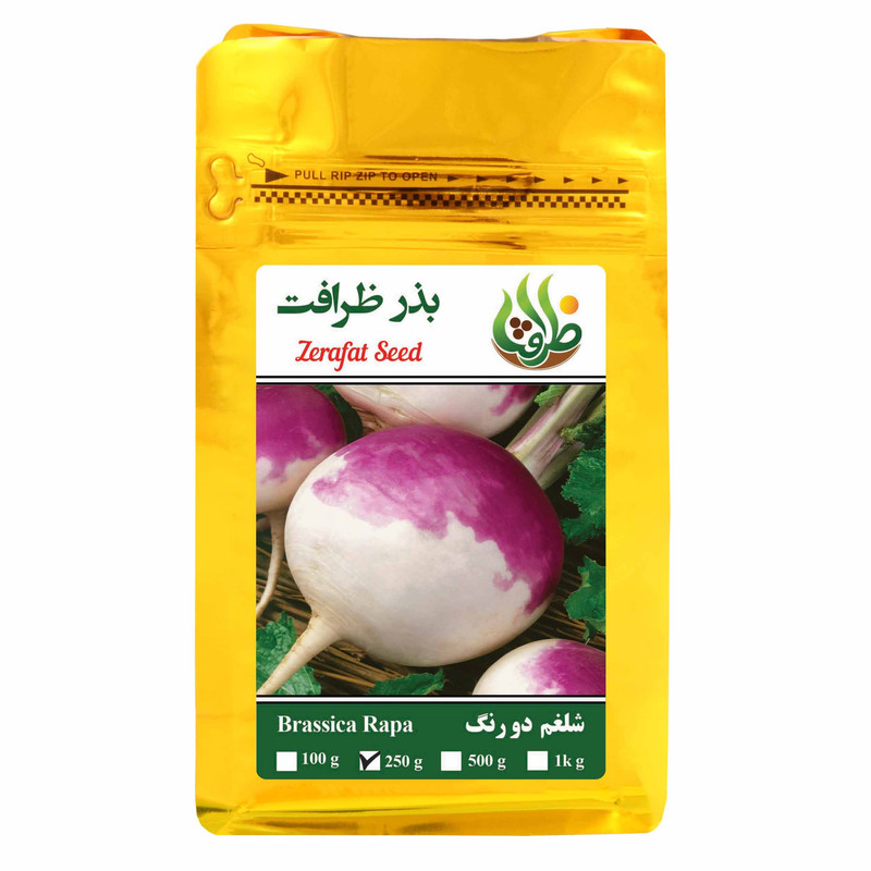 بذر شلغم دو رنگ ظرافت مدل BZ3323