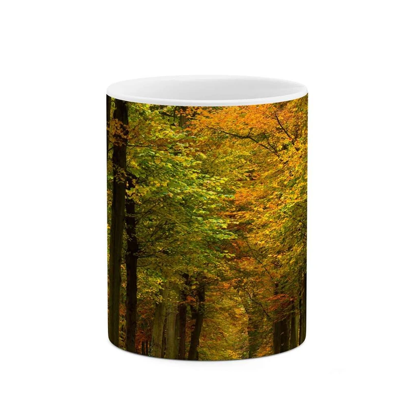 ماگ کاکتی مدل منظره کد mgh15808