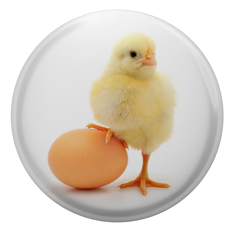 پیکسل طرح جوجه و تخم مرغ مدل S1622